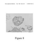 Culture Matrix for Forming a Cell Spheroid, and Method of Culturing the Same diagram and image