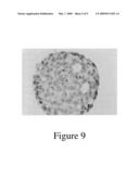 Culture Matrix for Forming a Cell Spheroid, and Method of Culturing the Same diagram and image