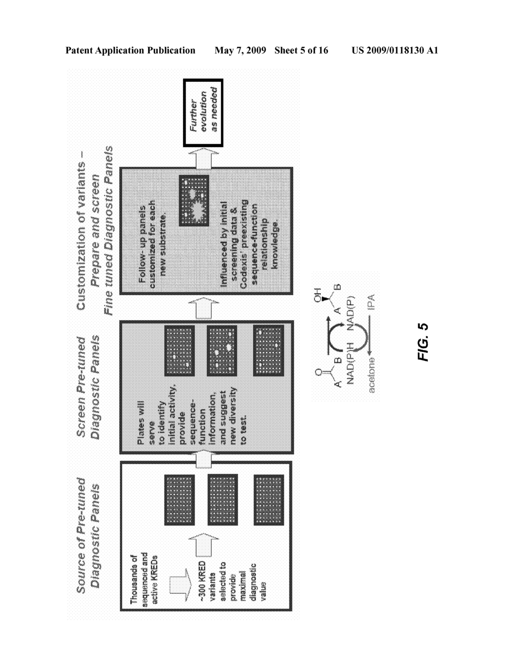 Structure-activity relationships - diagram, schematic, and image 06
