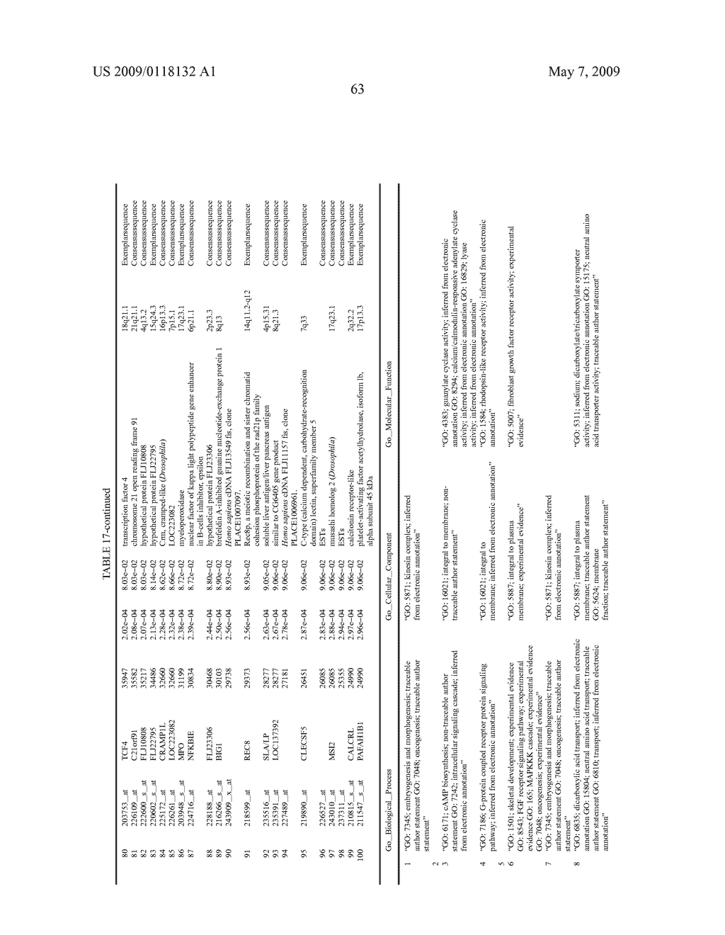 Classification of Acute Myeloid Leukemia - diagram, schematic, and image 64