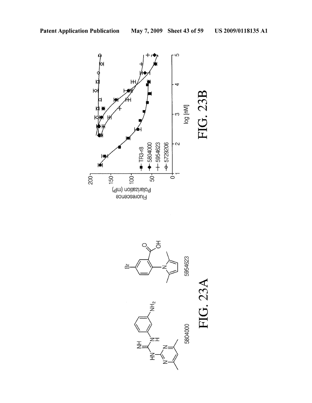 METHODS AND COMPOUNDS FOR REGULATING APOPTOSIS - diagram, schematic, and image 44