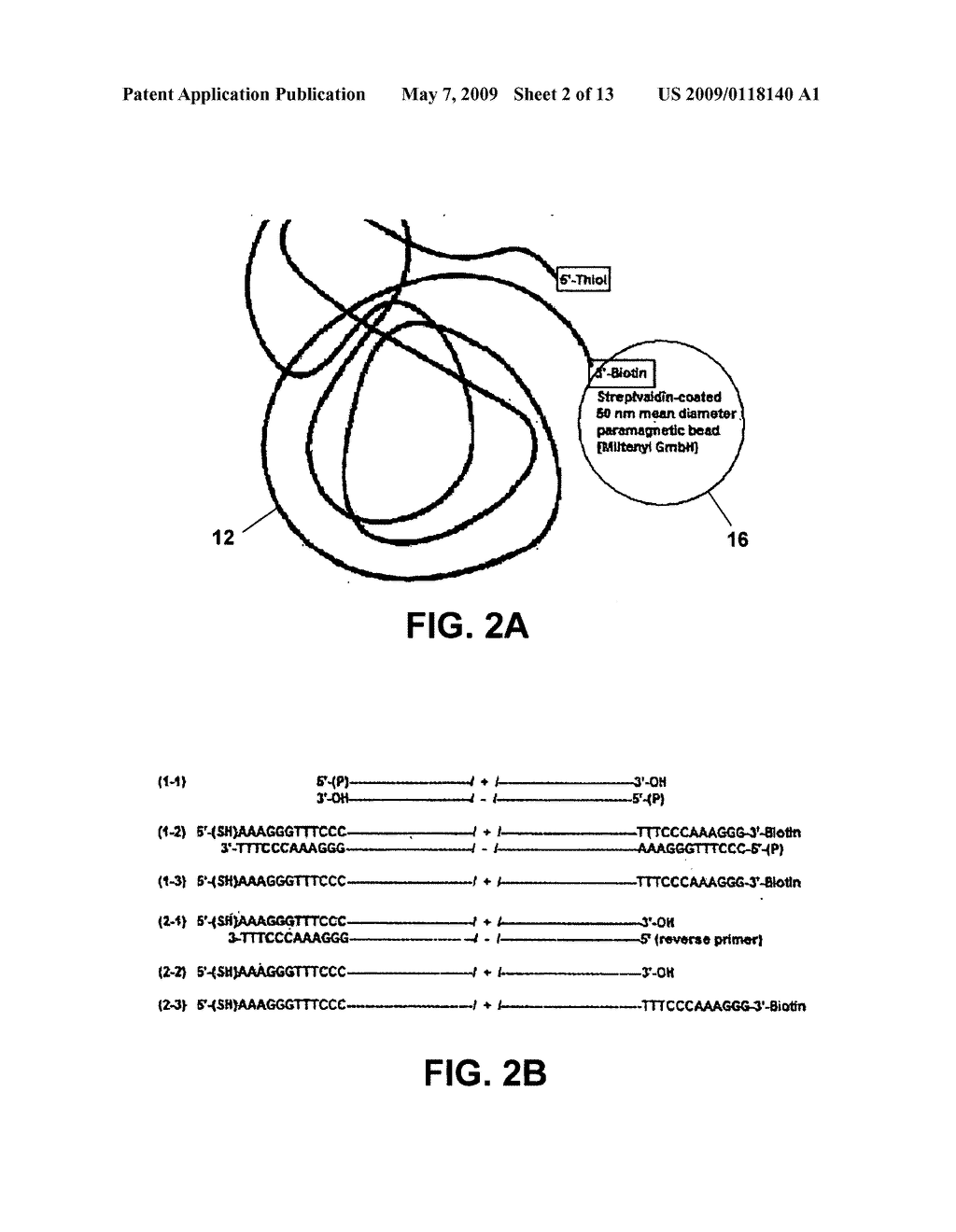 METHOD AND SYSTEM FOR ASSEMBLY OF MACROMOLECULES AND NANOSTRUCTURES - diagram, schematic, and image 03