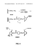 METHOD AND SYSTEM FOR ASSEMBLY OF MACROMOLECULES AND NANOSTRUCTURES diagram and image