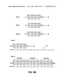 METHOD AND SYSTEM FOR ASSEMBLY OF MACROMOLECULES AND NANOSTRUCTURES diagram and image