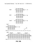 METHOD AND SYSTEM FOR ASSEMBLY OF MACROMOLECULES AND NANOSTRUCTURES diagram and image