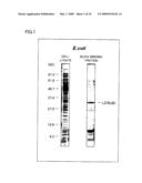 METHOD AND AGENT FOR IMMOBILIZING PROTEIN VIA PROTEIN BOUND TO SILICON OXIDE-CONTAINING SUBSTANCE diagram and image