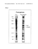 METHOD AND AGENT FOR IMMOBILIZING PROTEIN VIA PROTEIN BOUND TO SILICON OXIDE-CONTAINING SUBSTANCE diagram and image