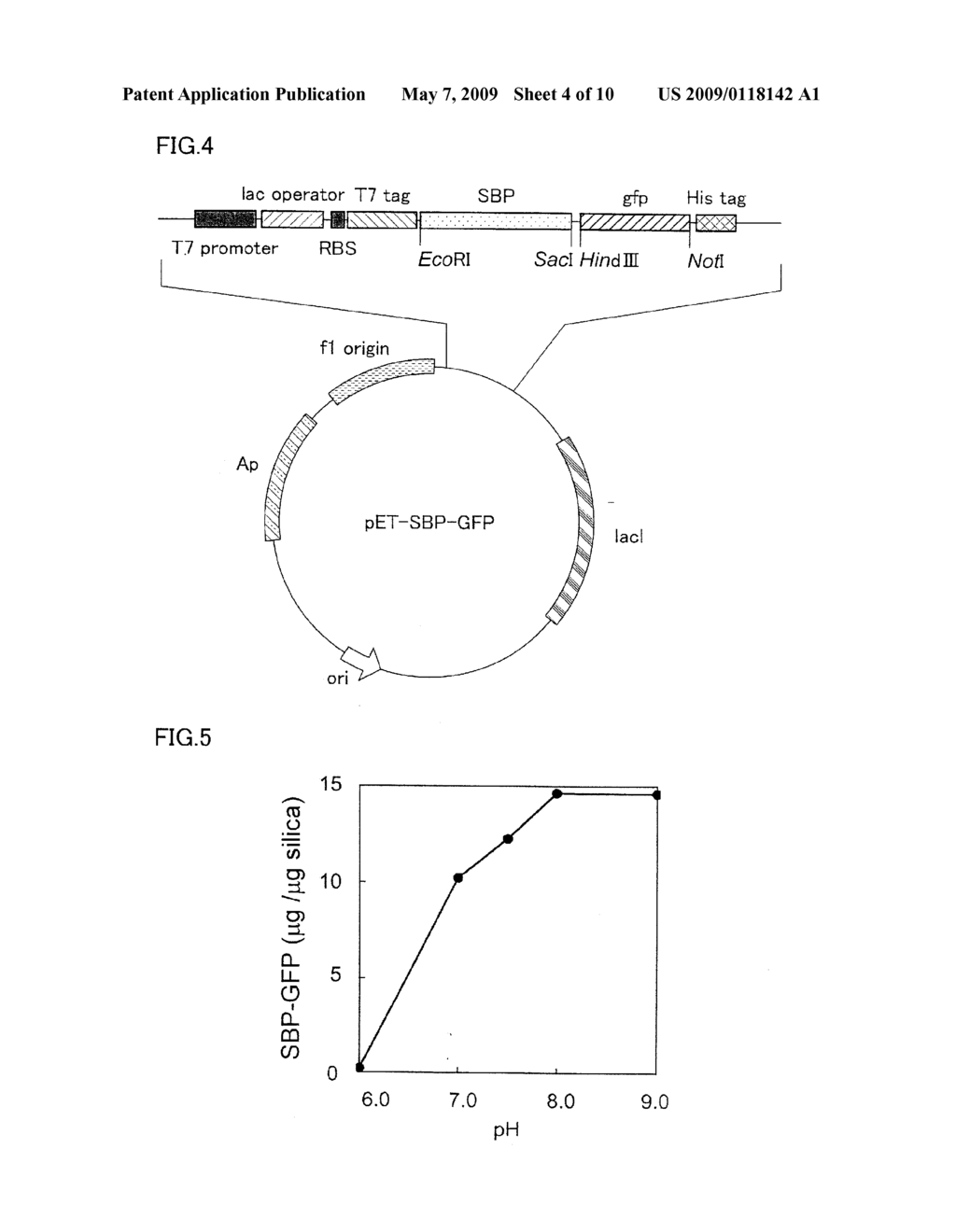 METHOD AND AGENT FOR IMMOBILIZING PROTEIN VIA PROTEIN BOUND TO SILICON OXIDE-CONTAINING SUBSTANCE - diagram, schematic, and image 05