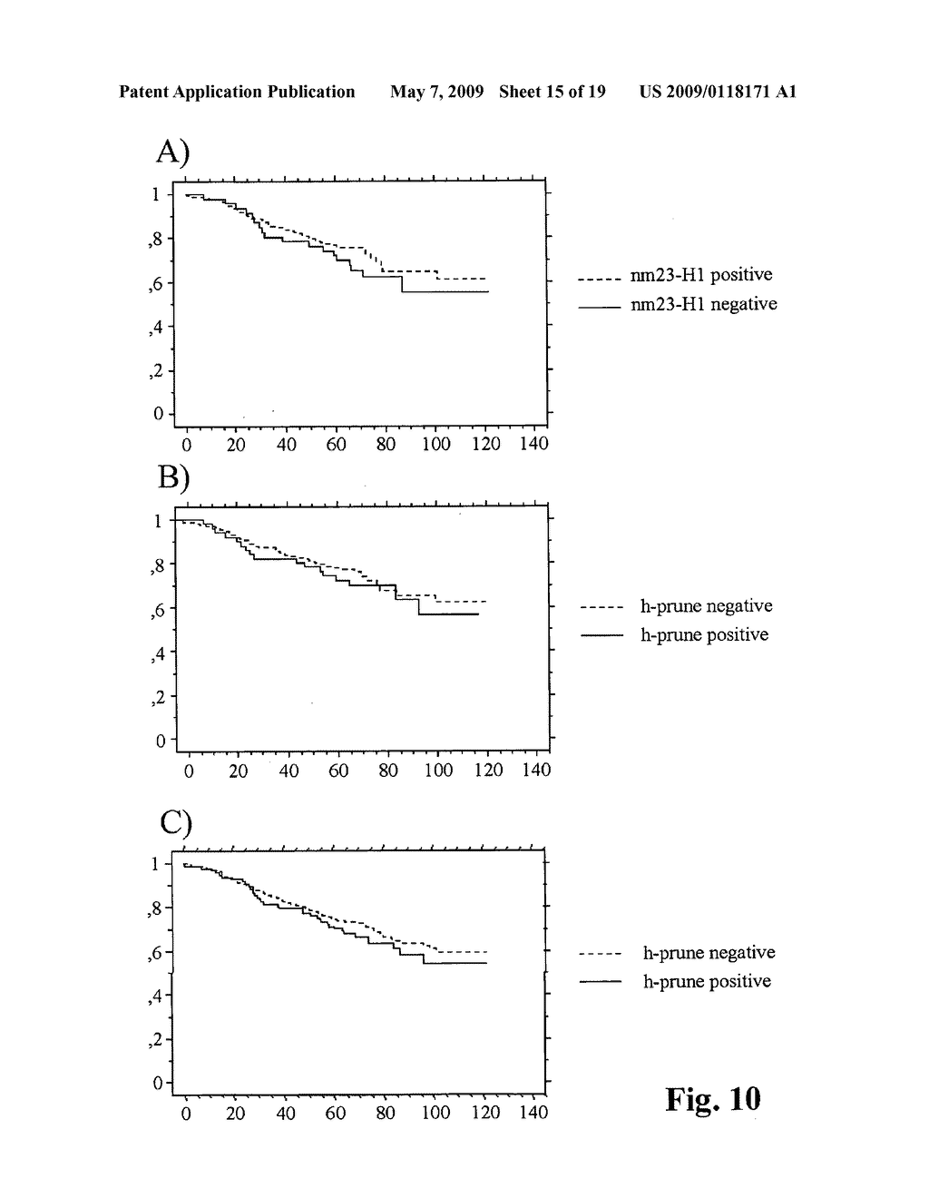 Use of enzymatic inhibitors of h-prune for the prevention and treatment of the metastases of tumours overexpressing h-prune - diagram, schematic, and image 16