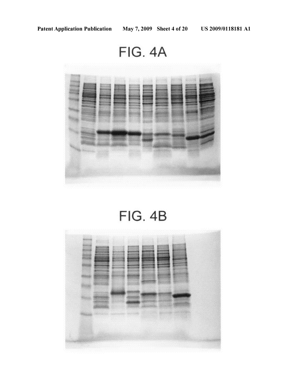 Compositions and methods for producing bioactive fusion proteins - diagram, schematic, and image 05