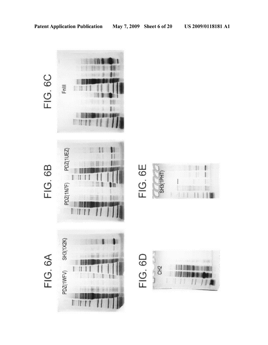 Compositions and methods for producing bioactive fusion proteins - diagram, schematic, and image 07