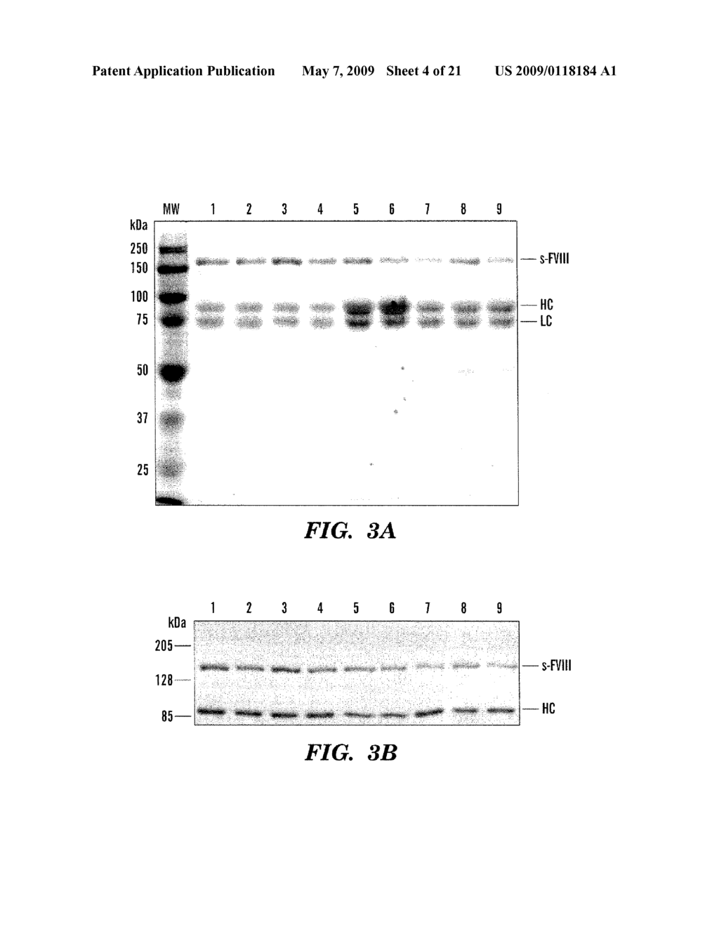 RECOMBINANT FACTOR VIII HAVING INCREASED STABILITY - diagram, schematic, and image 05