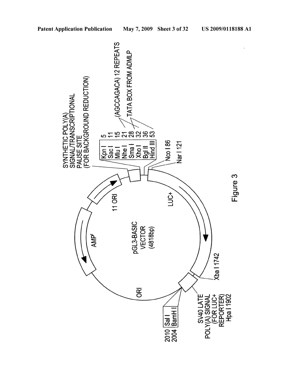 Activin-actriia antagonists and uses for decreasing or inhibiting FSH secretion - diagram, schematic, and image 04