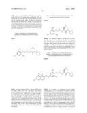 DHFR Enzyme Inhibitors diagram and image