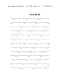 MAPK/ERK KINASE INHIBITORS diagram and image