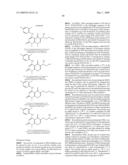 MAPK/ERK KINASE INHIBITORS diagram and image