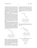 OLIGONUCLEOTIDES AND ANALOGS LABELED WITH ENERGY TRANSFER DYES diagram and image