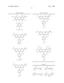 OLIGONUCLEOTIDES AND ANALOGS LABELED WITH ENERGY TRANSFER DYES diagram and image