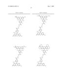 OLIGONUCLEOTIDES AND ANALOGS LABELED WITH ENERGY TRANSFER DYES diagram and image