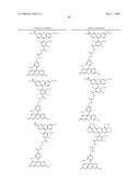 OLIGONUCLEOTIDES AND ANALOGS LABELED WITH ENERGY TRANSFER DYES diagram and image