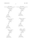 OLIGONUCLEOTIDES AND ANALOGS LABELED WITH ENERGY TRANSFER DYES diagram and image