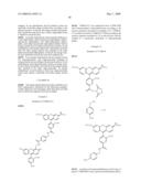 OLIGONUCLEOTIDES AND ANALOGS LABELED WITH ENERGY TRANSFER DYES diagram and image