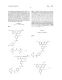 OLIGONUCLEOTIDES AND ANALOGS LABELED WITH ENERGY TRANSFER DYES diagram and image