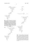 OLIGONUCLEOTIDES AND ANALOGS LABELED WITH ENERGY TRANSFER DYES diagram and image