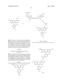 OLIGONUCLEOTIDES AND ANALOGS LABELED WITH ENERGY TRANSFER DYES diagram and image