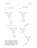 OLIGONUCLEOTIDES AND ANALOGS LABELED WITH ENERGY TRANSFER DYES diagram and image