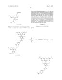 OLIGONUCLEOTIDES AND ANALOGS LABELED WITH ENERGY TRANSFER DYES diagram and image