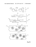 High throughput genome sequencing on DNA arrays diagram and image