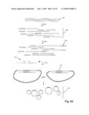 High throughput genome sequencing on DNA arrays diagram and image