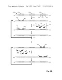 High throughput genome sequencing on DNA arrays diagram and image