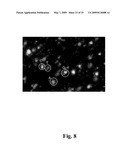 High throughput genome sequencing on DNA arrays diagram and image