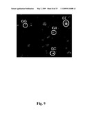 High throughput genome sequencing on DNA arrays diagram and image