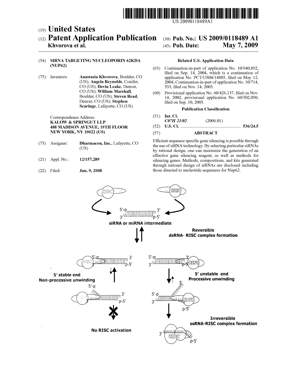 siRNA targeting nucleoporin 62kDa (Nup62) - diagram, schematic, and image 01