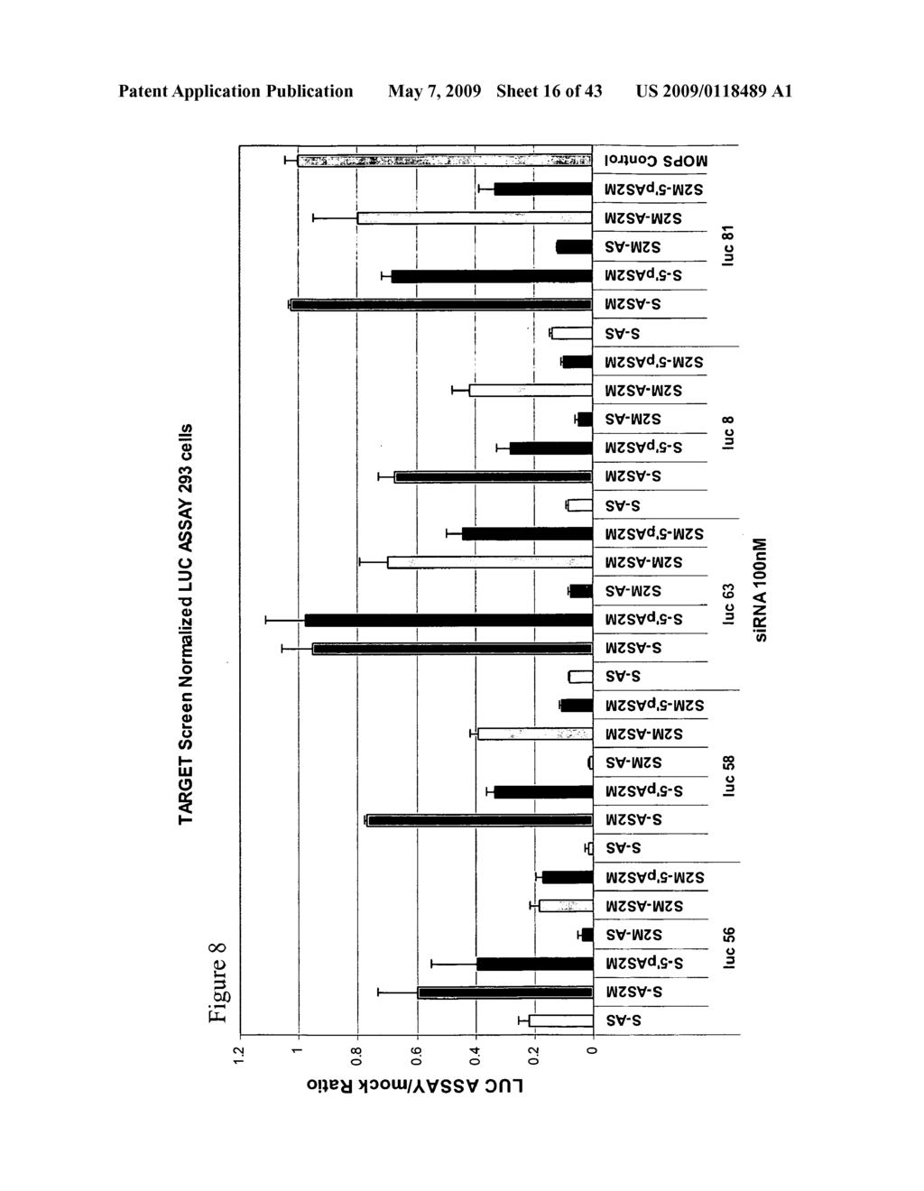 siRNA targeting nucleoporin 62kDa (Nup62) - diagram, schematic, and image 17