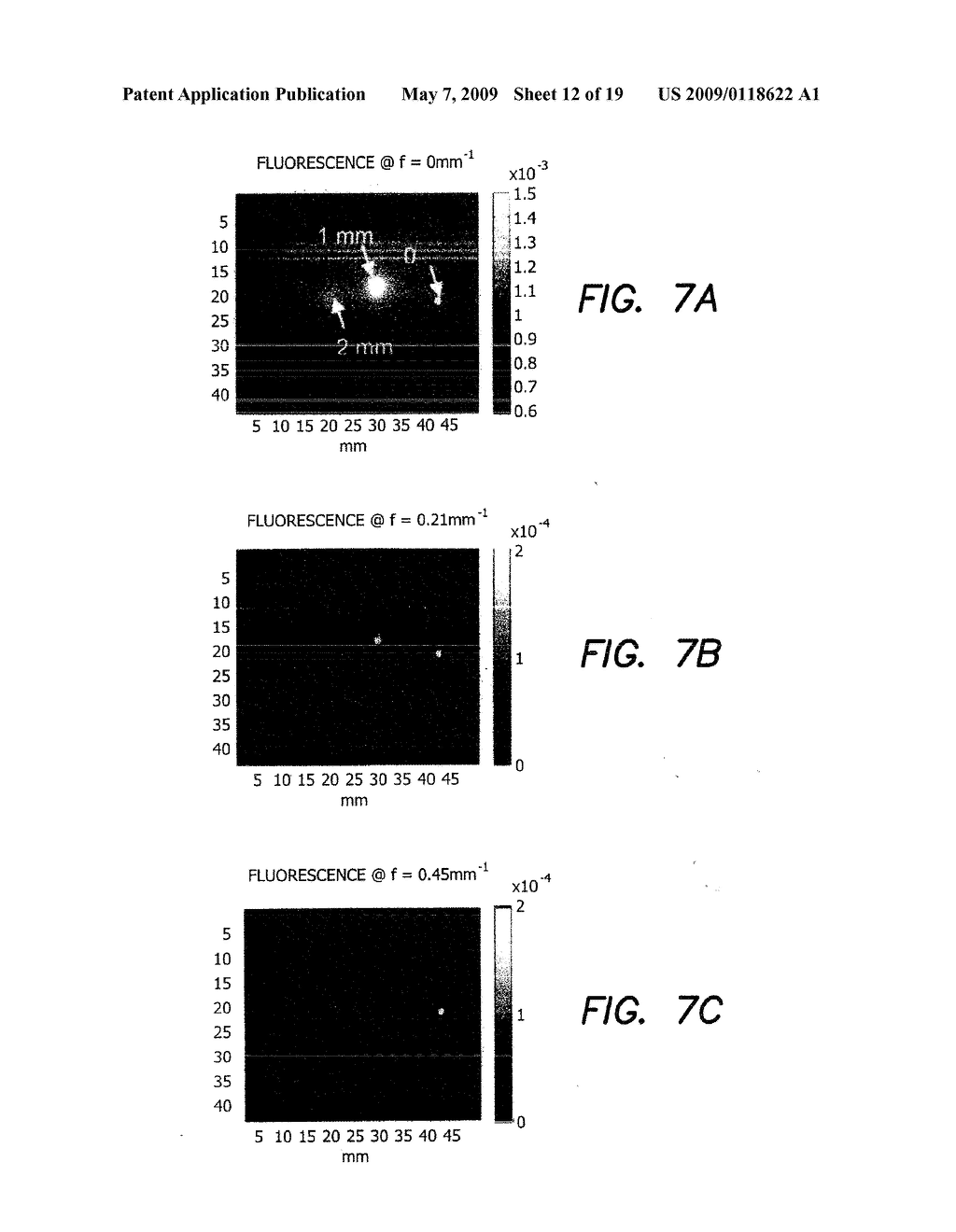 APPARATUS AND METHOD FOR WIDEFIELD FUNCTIONAL IMAGING (WiFI) USING INTEGRATED STRUCTURED ILLUMINATION AND LASER SPECKLE IMAGING - diagram, schematic, and image 13