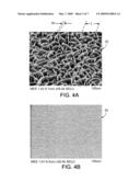 ENDOPROSTHESIS COATING diagram and image