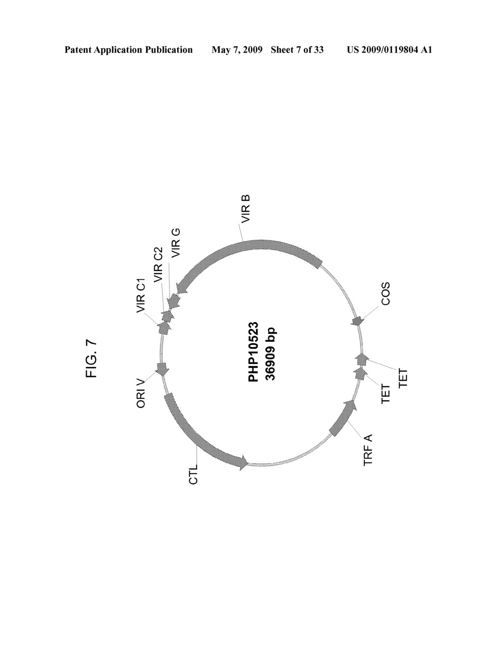 PLANTS HAVING ALTERED AGRONOMIC CHARACTERISTICS UNDER NITROGEN LIMITING CONDITIONS AND RELATED CONSTRUCTS AND METHODS INVOLVING GENES ENCODING LNT2 POLYPEPTIDES AND HOMOLOGS THEREOF - diagram, schematic, and image 08