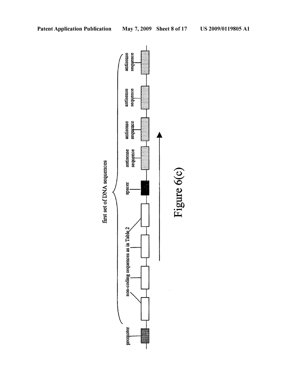 Nuleic acid constructs and methods for producing altered seed oil compositions - diagram, schematic, and image 09