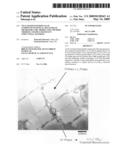 Ni3A1-Based Intermetallic Compound With Dual Multi-Phase Microstructre, Production Method Thereof, and Heat Resistant Structural Material diagram and image