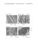 Ni3A1-Based Intermetallic Compound With Dual Multi-Phase Microstructre, Production Method Thereof, and Heat Resistant Structural Material diagram and image