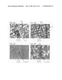 Ni3A1-Based Intermetallic Compound With Dual Multi-Phase Microstructre, Production Method Thereof, and Heat Resistant Structural Material diagram and image