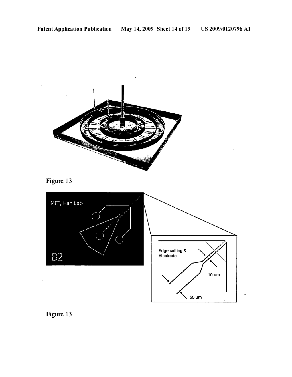 ELECTROKINETIC CONCENTRATION DEVICE AND METHODS OF USE THEREOF - diagram, schematic, and image 15