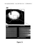 ELECTROKINETIC CONCENTRATION DEVICE AND METHODS OF USE THEREOF diagram and image