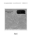 ELECTRICAL IMPEDANCE TOMOGRAPHY OF NANOENGINEERED THIN FILMS diagram and image