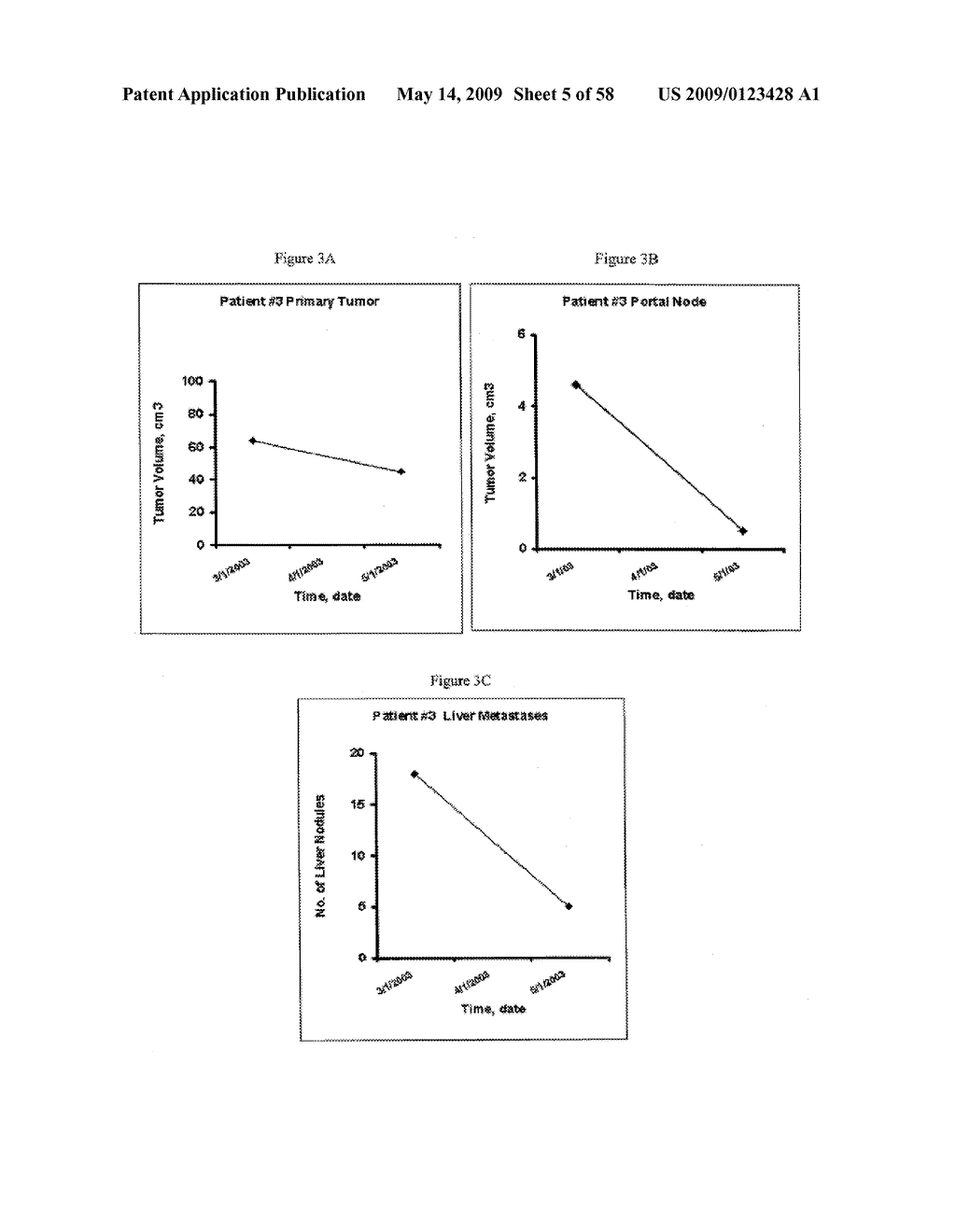 PATHOTROPIC TARGETED GENE DELIVERY SYSTEM FOR CANCER AND OTHER DISORDERS - diagram, schematic, and image 06