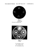 ARTHROSPIRA-BASED COMPOSITIONS AND USES THEREOF diagram and image